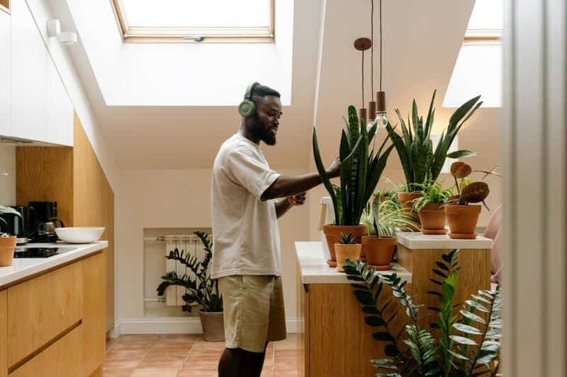 3. Curate a Soundtrack for the Everyday